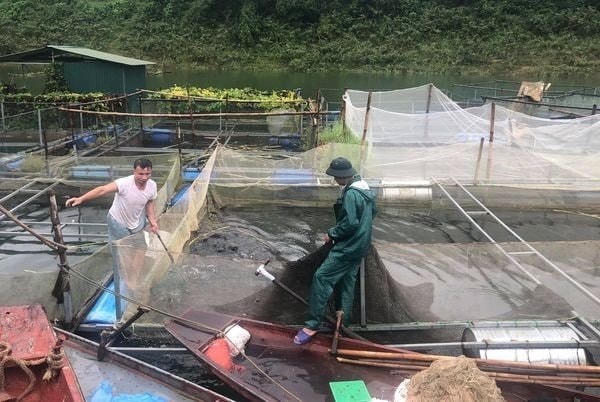 Để thực hiện mục tiêu cơ cấu lại nền kinh tế gắn với đổi mới mô hình tăng trưởng, tỉnh Hòa Bình tập trung vào các giải pháp chủ yếu.