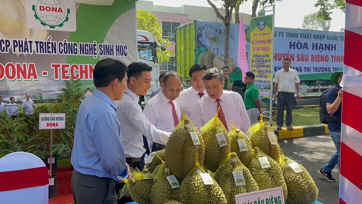 Các đại biểu tham quan sầu riêng xuất khẩu. Ảnh: Hoàng Long.