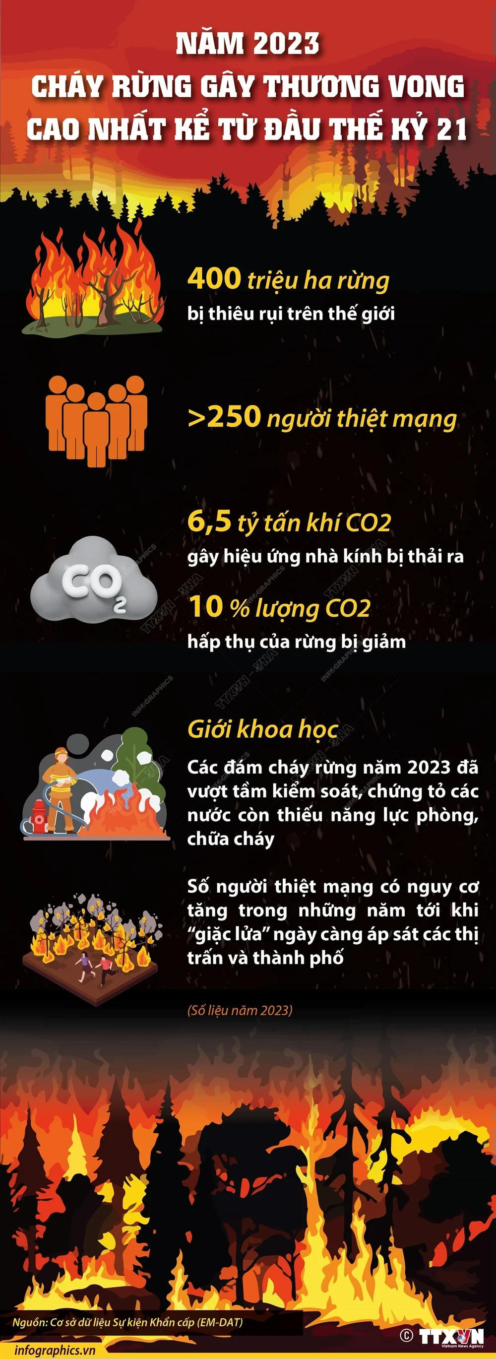 2023-12-29-tg-chay-rung-23-h84-4789.jpg