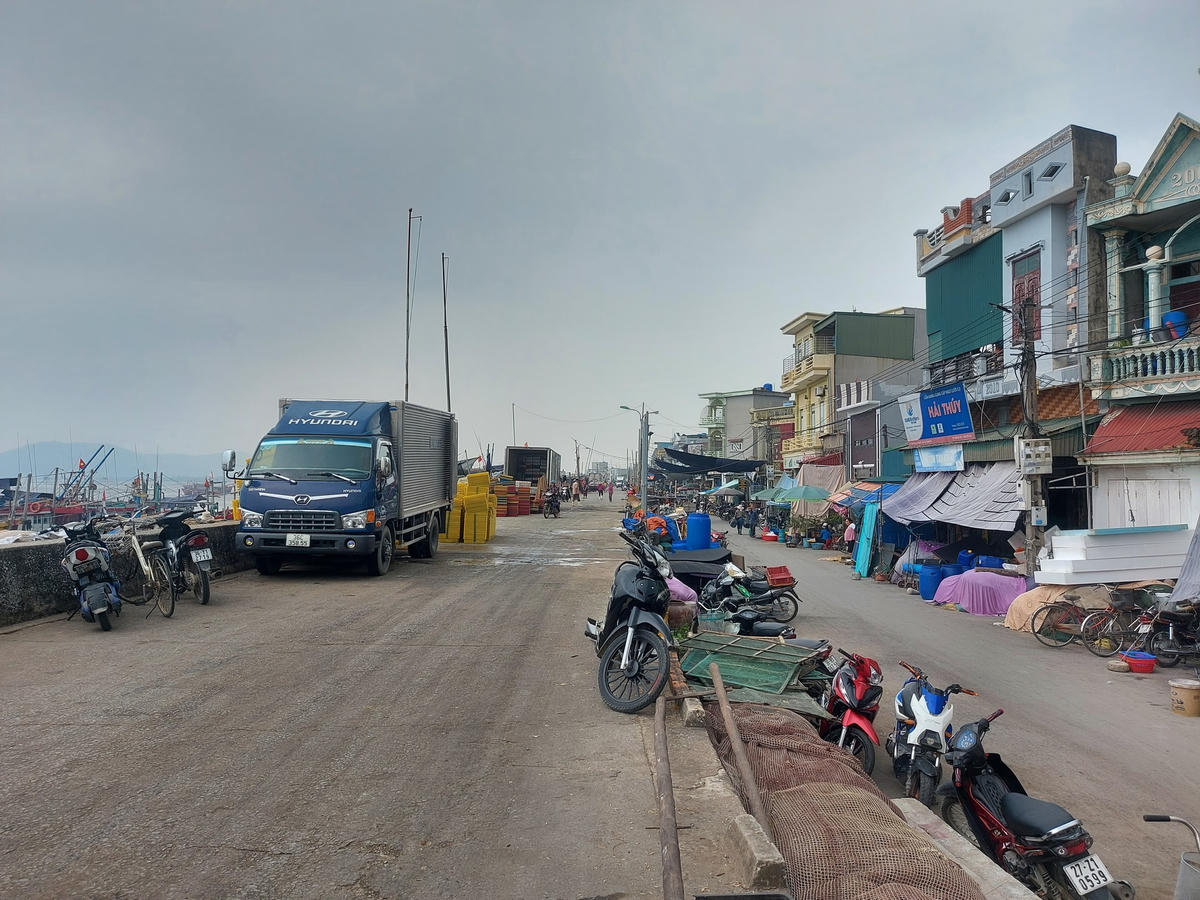Ngư Lộc là một xã có đường bờ biển dài, người dân tham gia đánh bắt hải sản đông đúc.