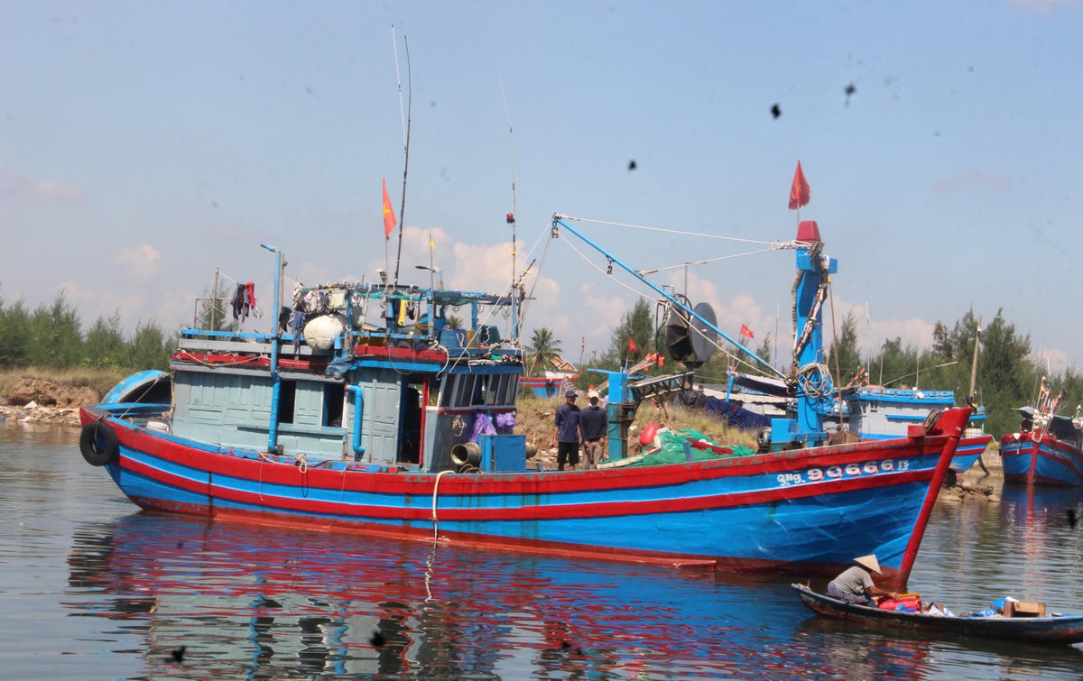 Tàu cá chở đầy cá cập cảng Sa Kỳ.