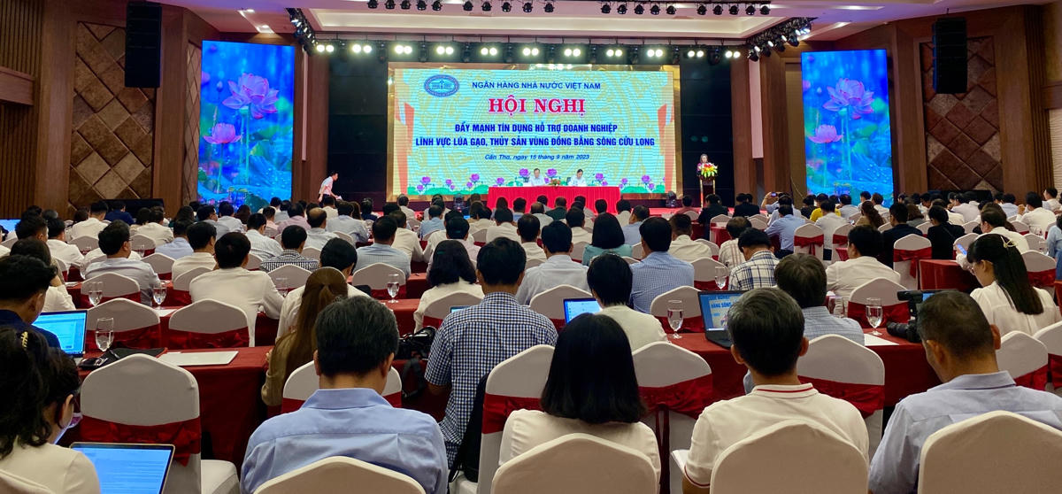 Toàn cảnh hội nghị.