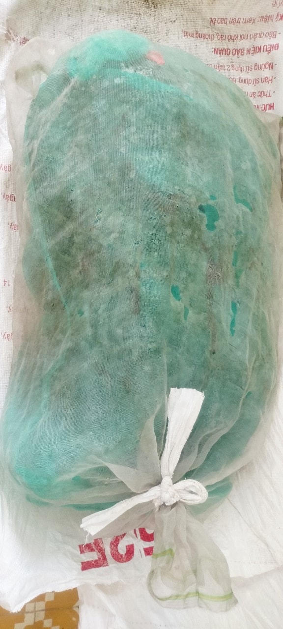 Con trăn được bỏ vào bao vận chuyển về Hạt Kiểm lâm Cam Lộ.