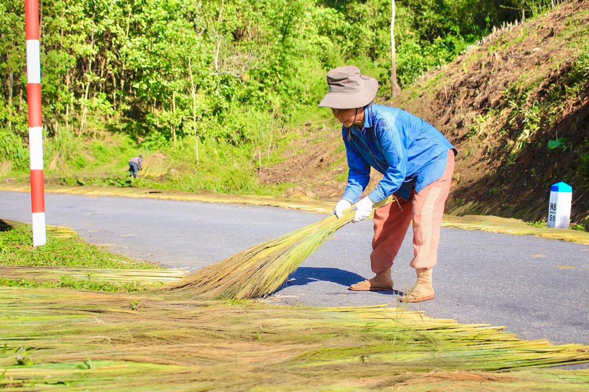 Cảnh người dân phơi đót ở vùng cao.