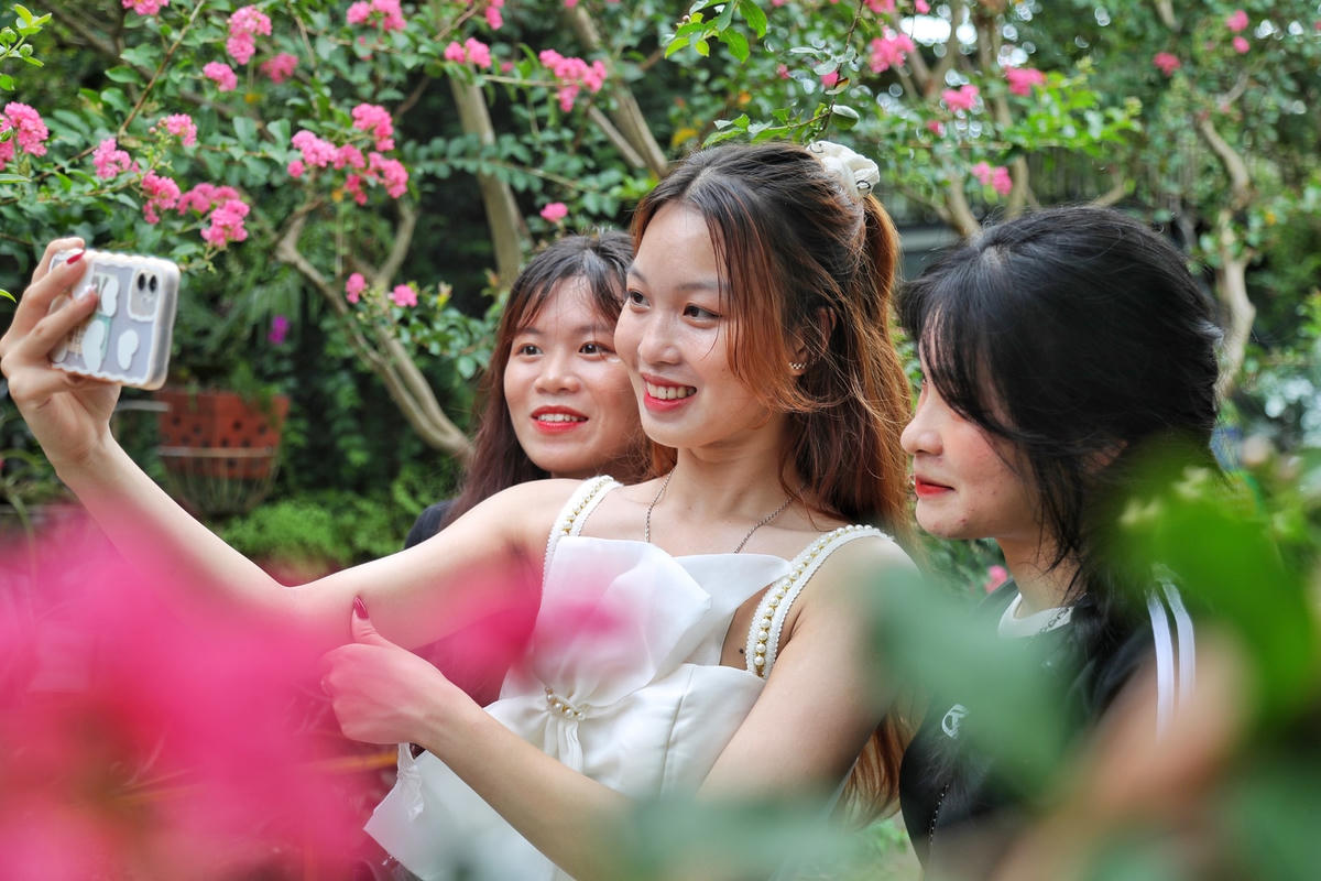 Các bạn trẻ chụp ảnh cùng hoa tường vi.