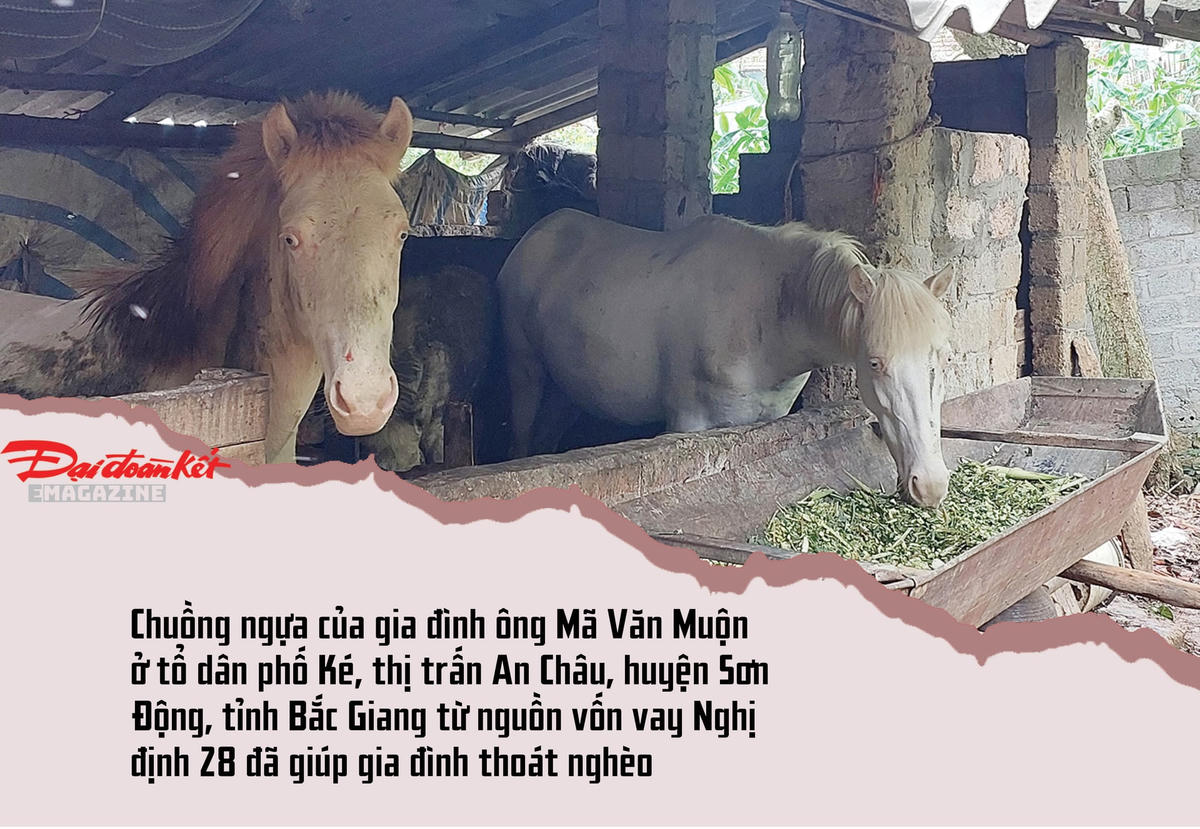 [EMagazine] Từ đồng vốn vay đồng bào dân tộc nhiều nơi đã thoát nghèo