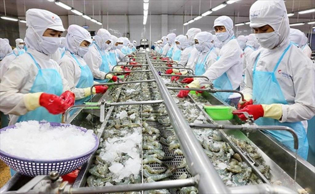 Tôm, mặt hàng thủy sản xuất khẩu giá trị cao.