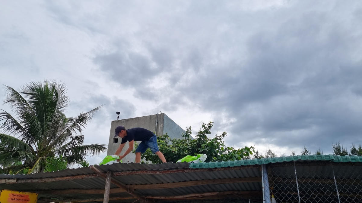Người dân xã Bình Hải (Quảng Ngãi) gia cố mái nhà chống bão.