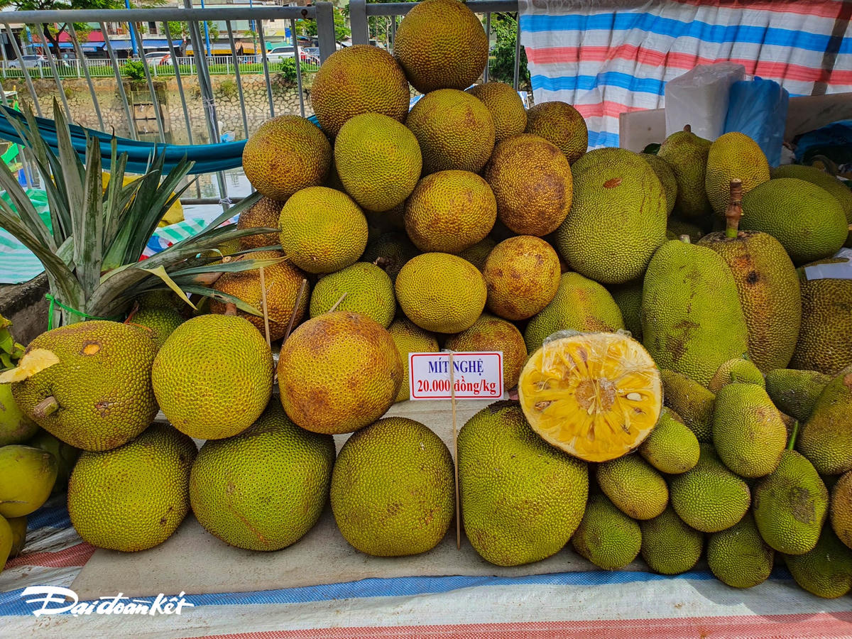 Mít Nghệ được bán tại lễ hội với giá 20.000 đồng/kg.