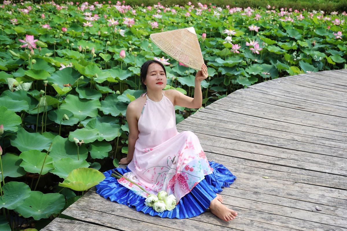 Ninh Bình: Cánh đồng sen nở rộ dưới chân núi Ngọa Long hút khách