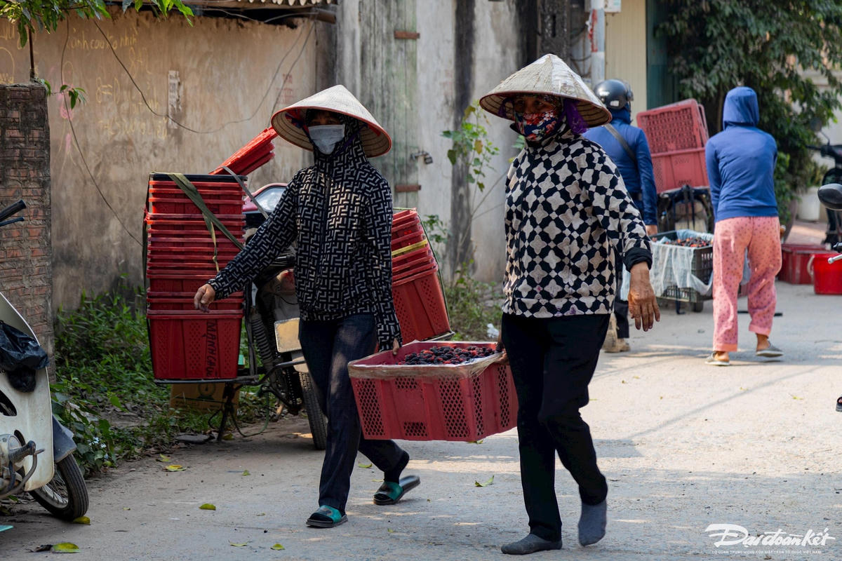 dau_tam-le-khanh34.jpg