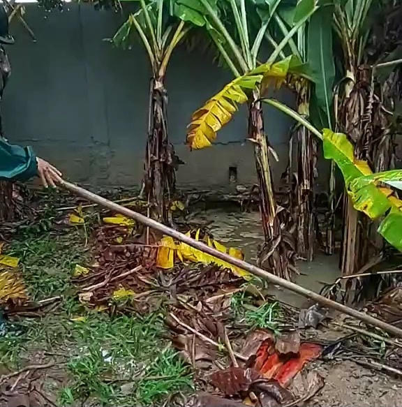 Hố sụt lún rộng khoảng 5m và sâu hơn 4m.
