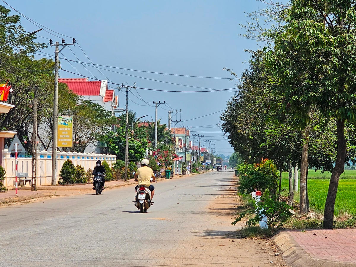 bai-chinh.jpg