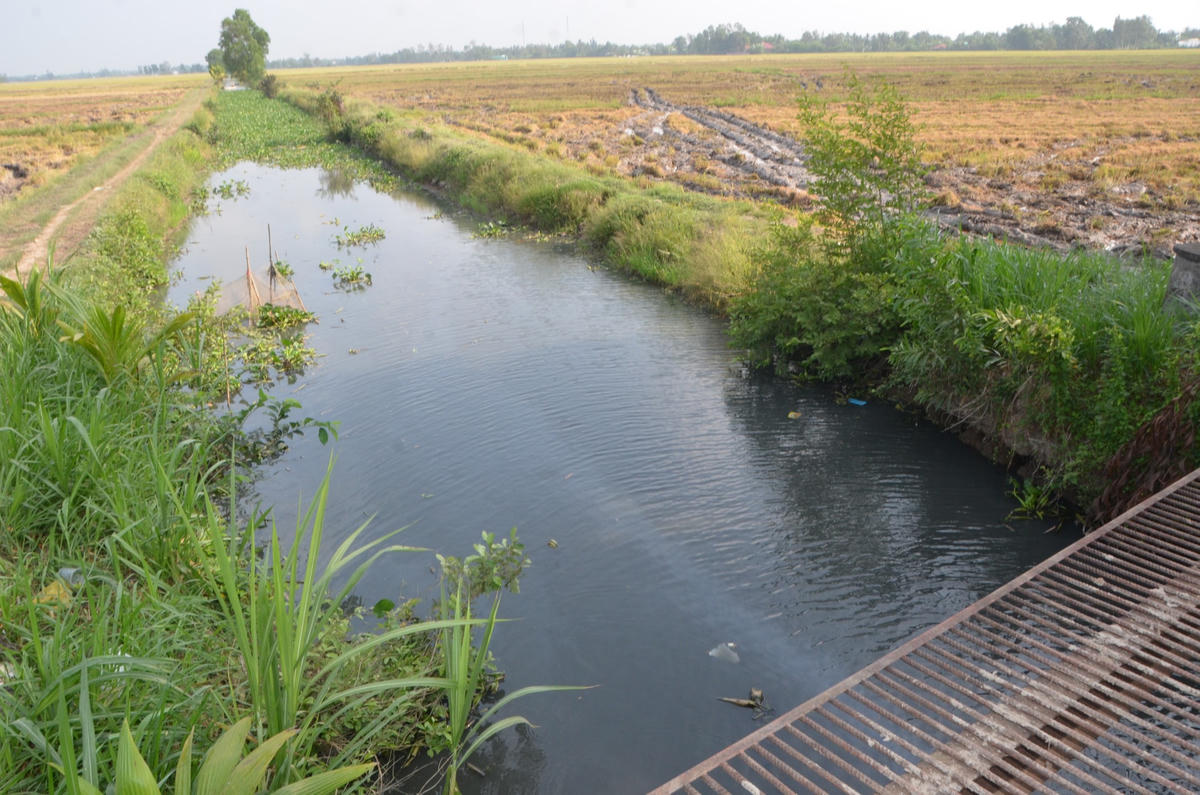 Ngành chức năng khẩn trương triển khai một số biện pháp xử lý, khắc phục ô nhiễm phục vụ sản xuất nông nghiệp của người dân.