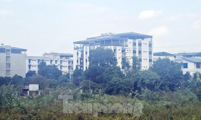 Hàng loạt khu chung cư mini, khu văn phòng, nhà trọ xây trái phép trên đất quy hoạch hành lang cây xanh.