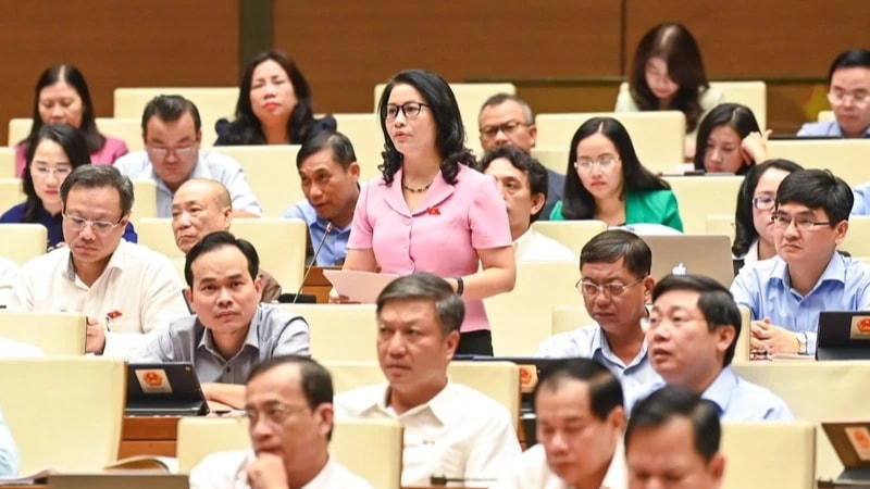 Đại biểu Quốc hội phát biểu ý kiến thảo luận ở hội trường về thực hiện kế hoạch phát triển kinh tế - xã hội năm 2023. Ảnh: Quang Vinh.