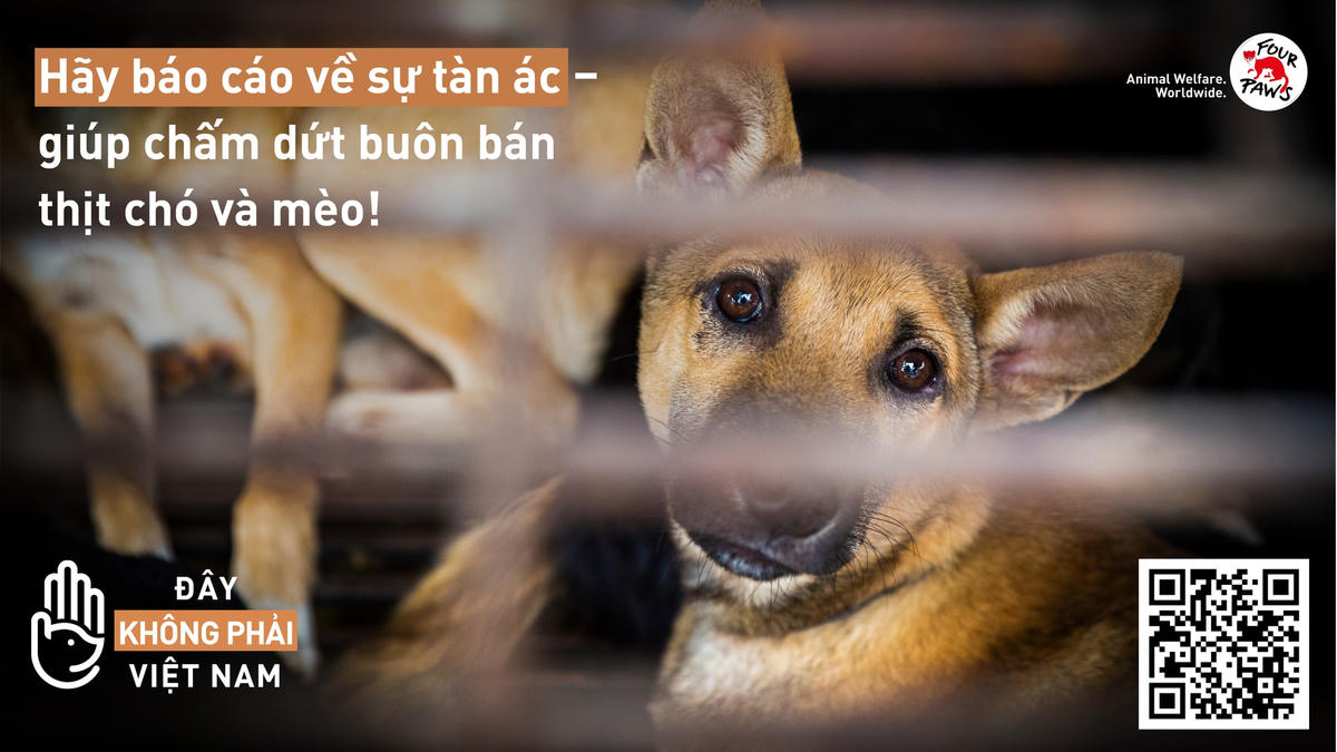 Người dân quét mã QR Code có trên banner (trong ảnh) để đi tới trang công cụ của FOUR PAWS.
