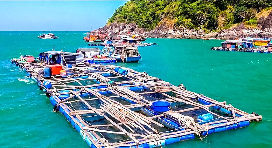nuoi-thuy-san.png