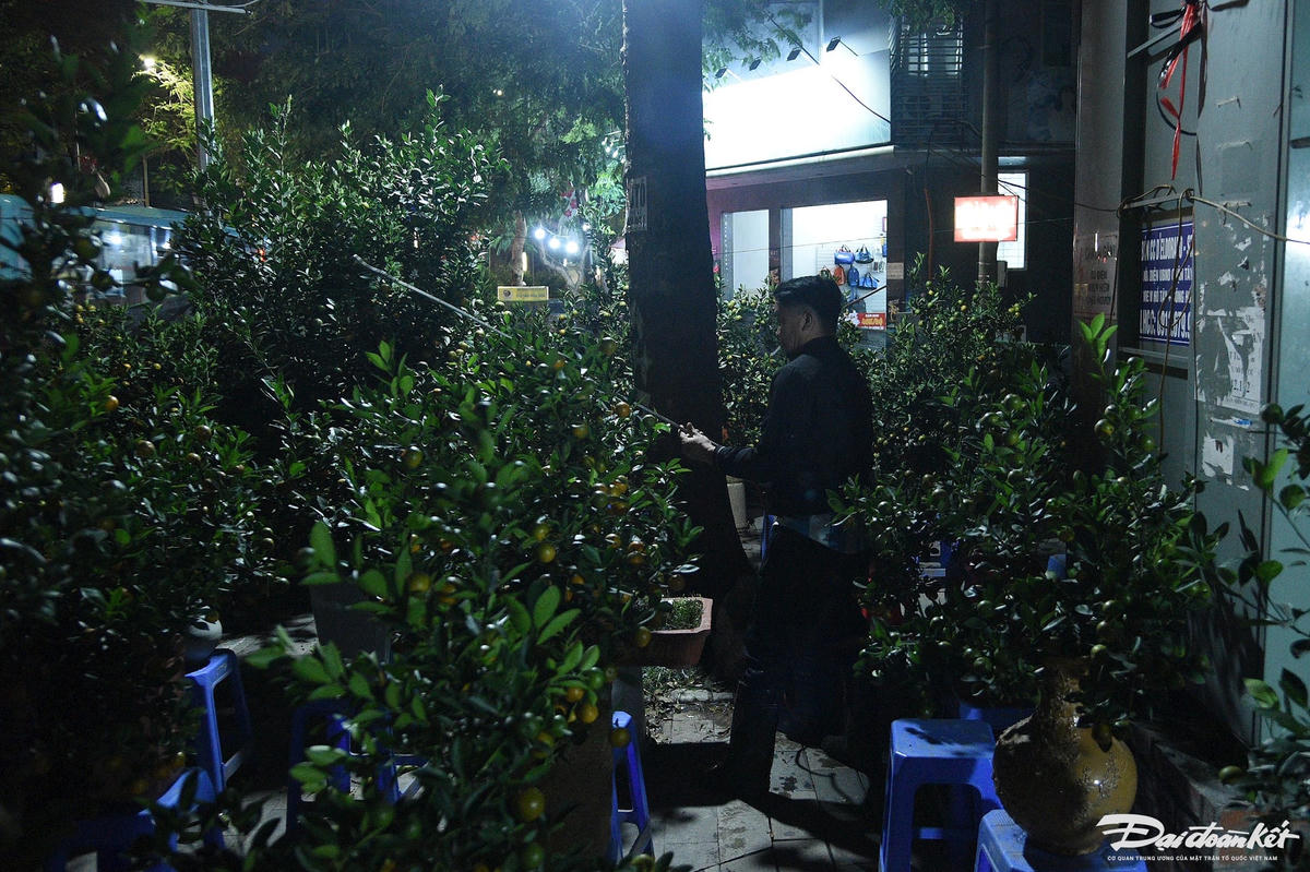 W_mac_man_trong_dao_quat-le-khanh11.jpg