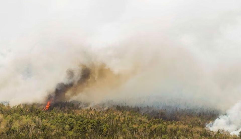 Cháy rừng tại Canada. Ảnh: Reuters.