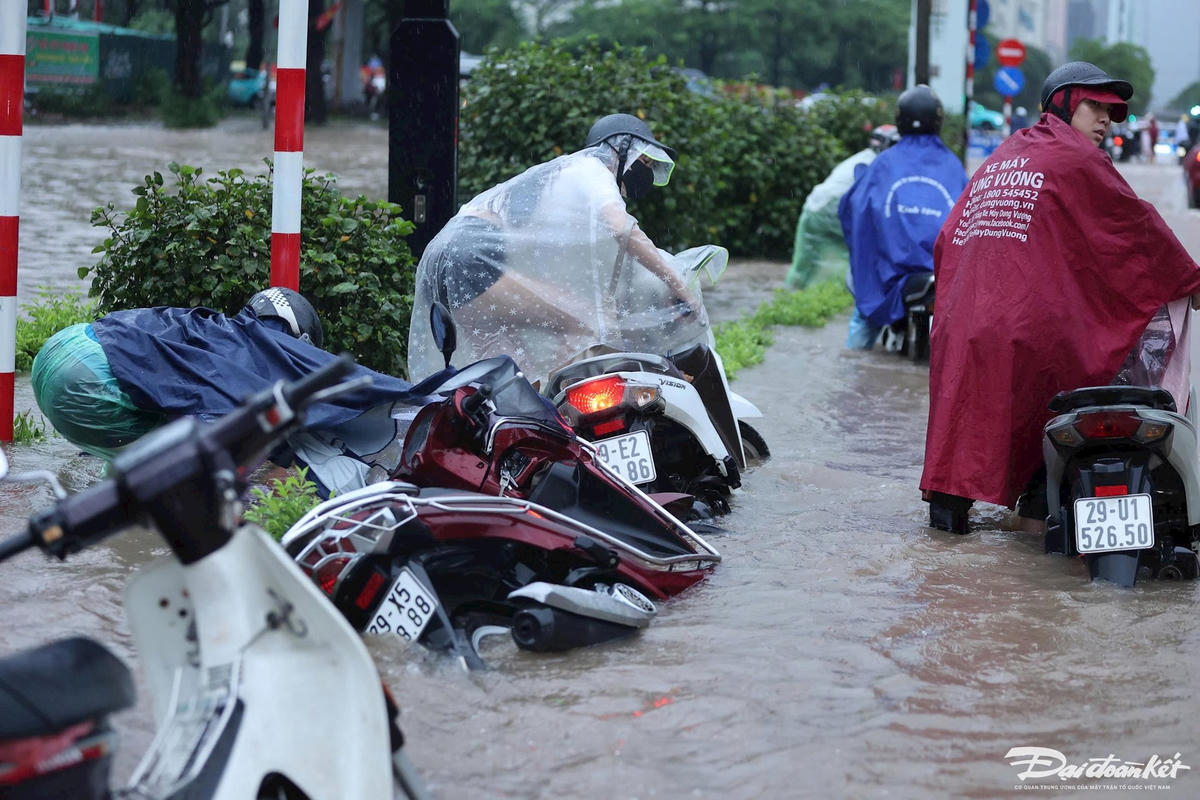 đại lộ5