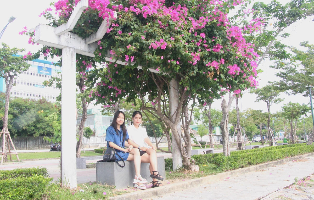 Bạn trẻ ngồi ngắm bờ hồ Nguyễn Du.