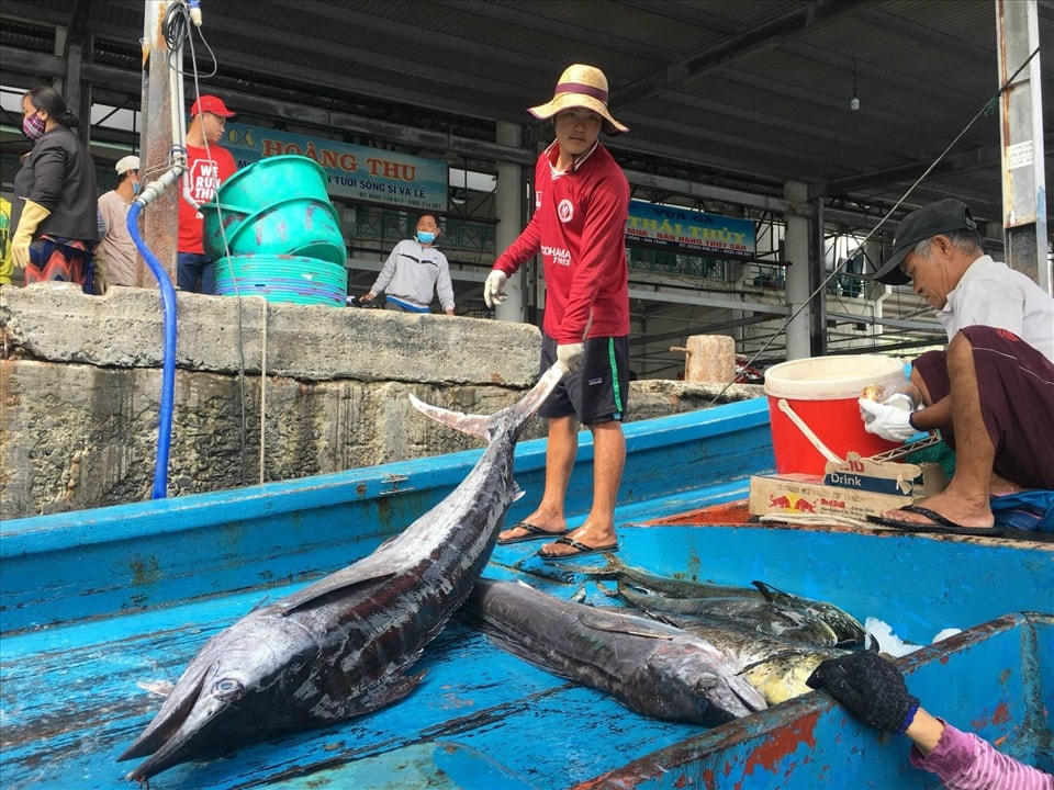  Ngư dân phấn khởi vận chuyển cá ngư, tại cảng Hòn Rớ TP. Nha Trang, trong chuyến biển đầu năm mới.