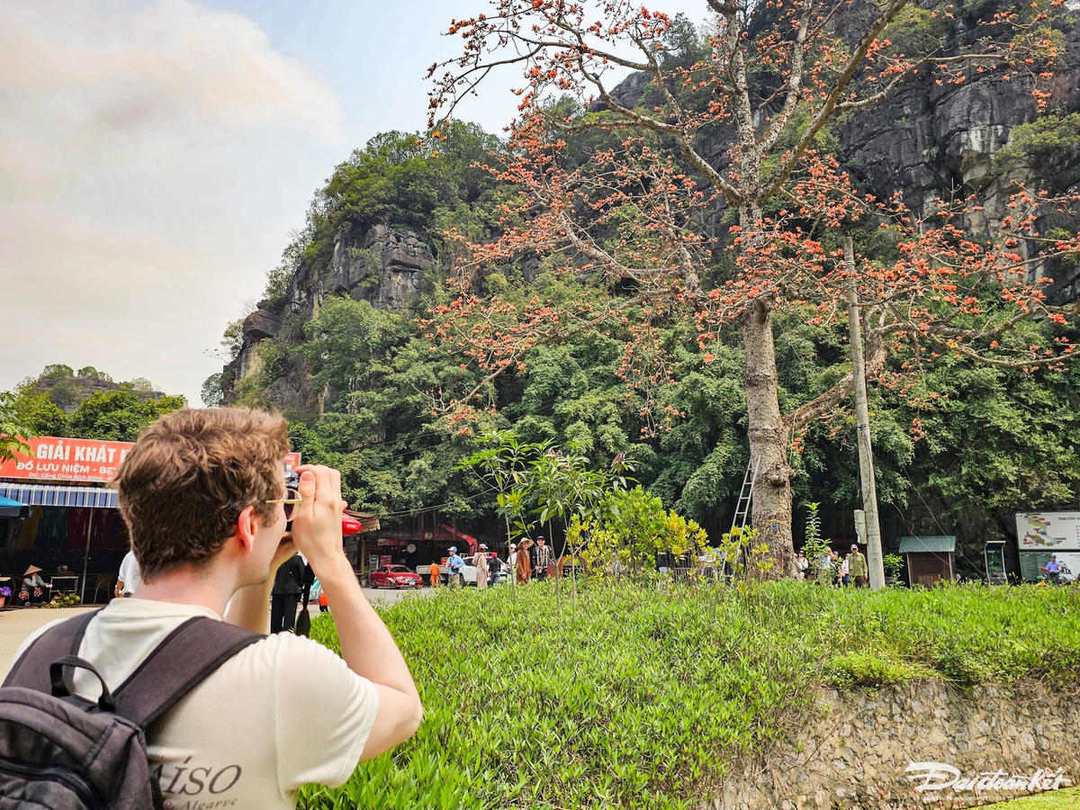 Mỗi dịp cây gạo nở hoa, nhiều du khách trong và ngoài nước lại tìm về đây để chụp ảnh lưu niệm. Ảnh: Đình Mịn