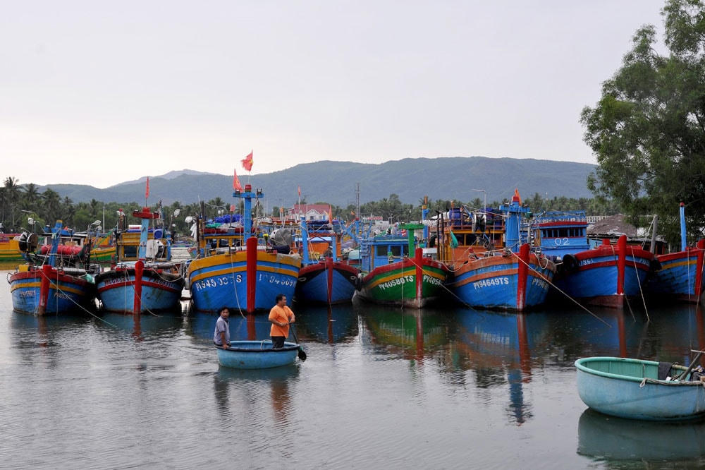Ngư dân tỉnh Phú Yên, đưa tàu thuyền vào khu neo đậu tránh trú bão.