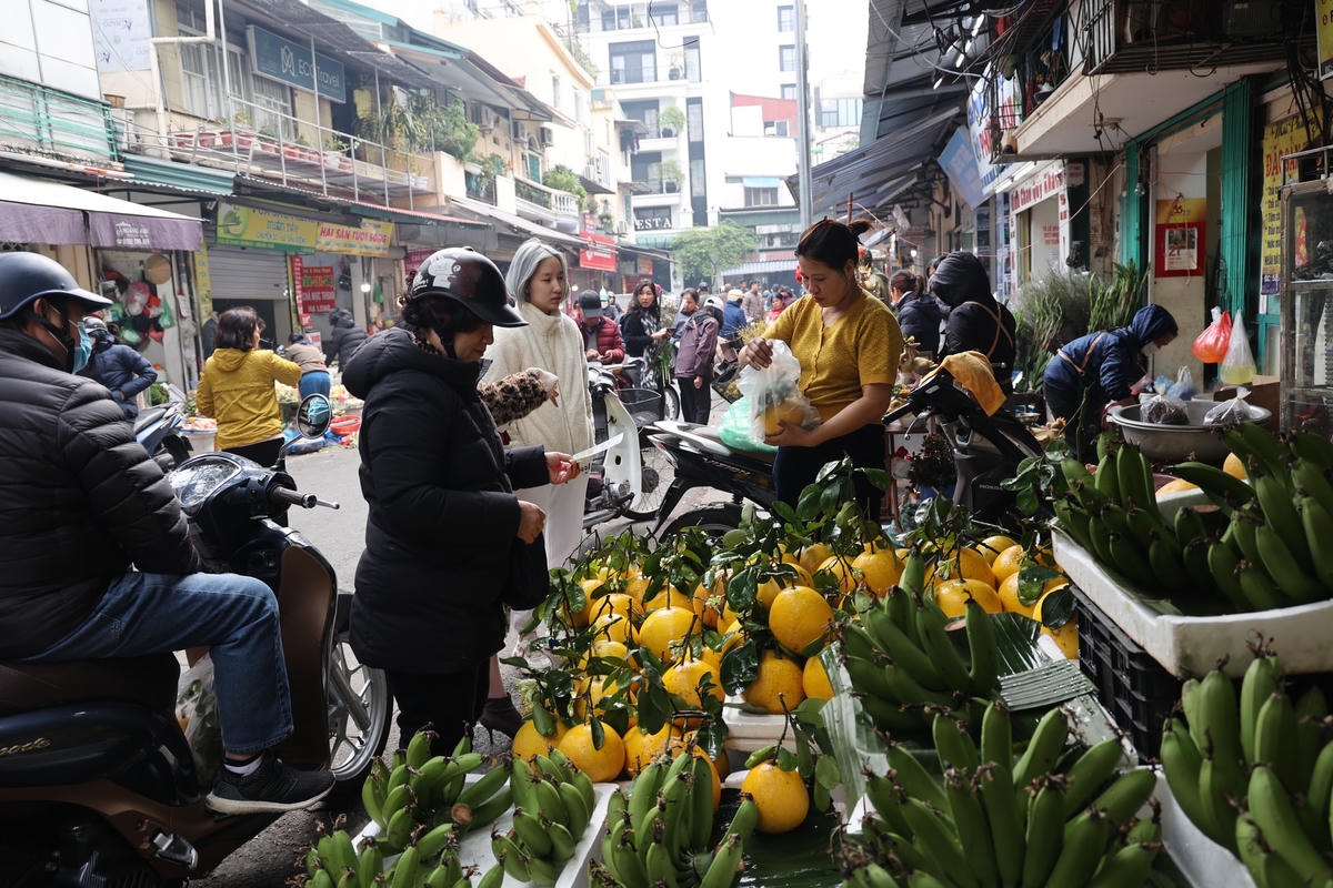 Hàng chuối xanh, bưởi cảnh... tấp nập người bán, kẻ mua. 
