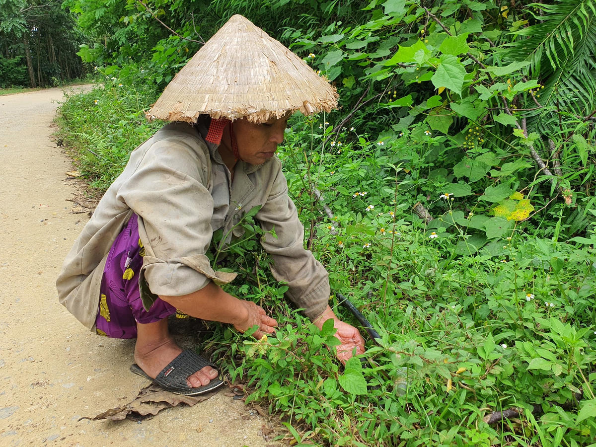 Do công trình nước sạch bỏ hoang, nhiều người dân xóm Ngù, xã Hiền Lương (huyện Đà Bắc) phải lắp đặt ống dẫn nước từ khe núi xuống để phục vụ sinh hoạt.