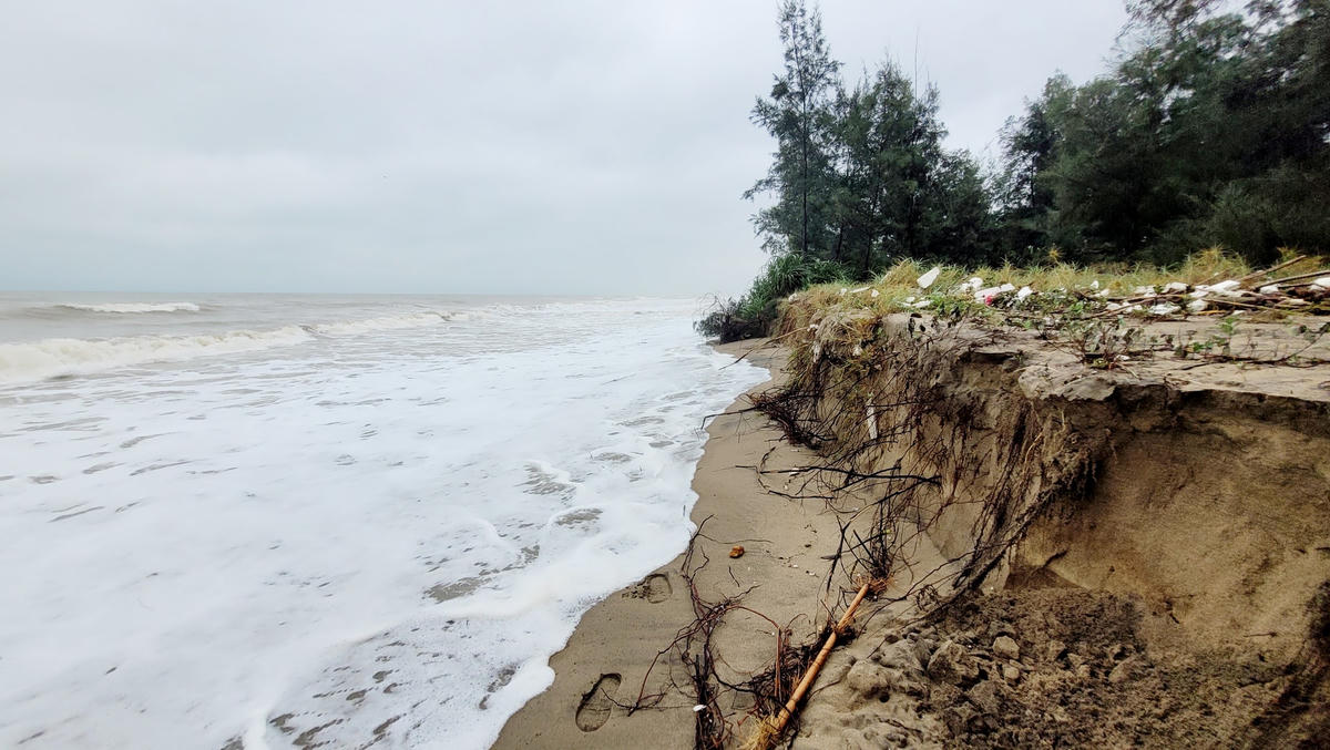 Toàn xã Xuân Hội có khoảng 5 km bờ biển bao quanh và tổng chiều dài bờ biển đang bị sạt lở khoảng hơn 2km, vị trí bị sóng ăn vào sâu nhất là 10m.