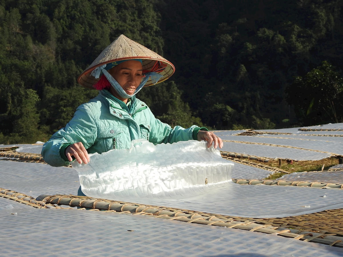 bai-chinh.jpg