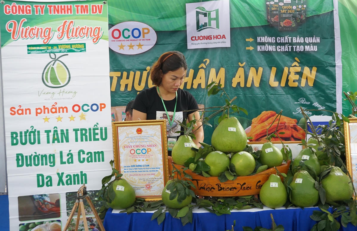 Nhiều hệ thống bán lẻ hiện đại liên tục tổ chức quảng bá sản phẩm OCOP của các địa phương.