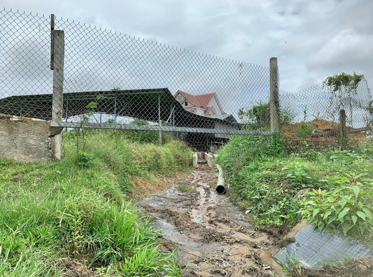 Người dân nghi cơ sở chế biến tinh bột mì xả thải ra môi trường.