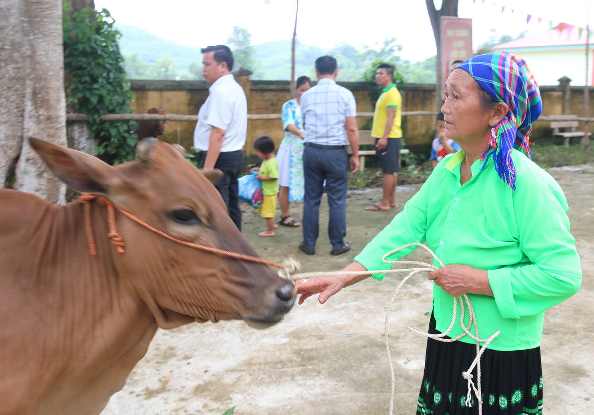 Bò giống sinh sản là nguồn lực mới giúp người dân thôn Tân An sớm vươn lên thoát nghèo.
