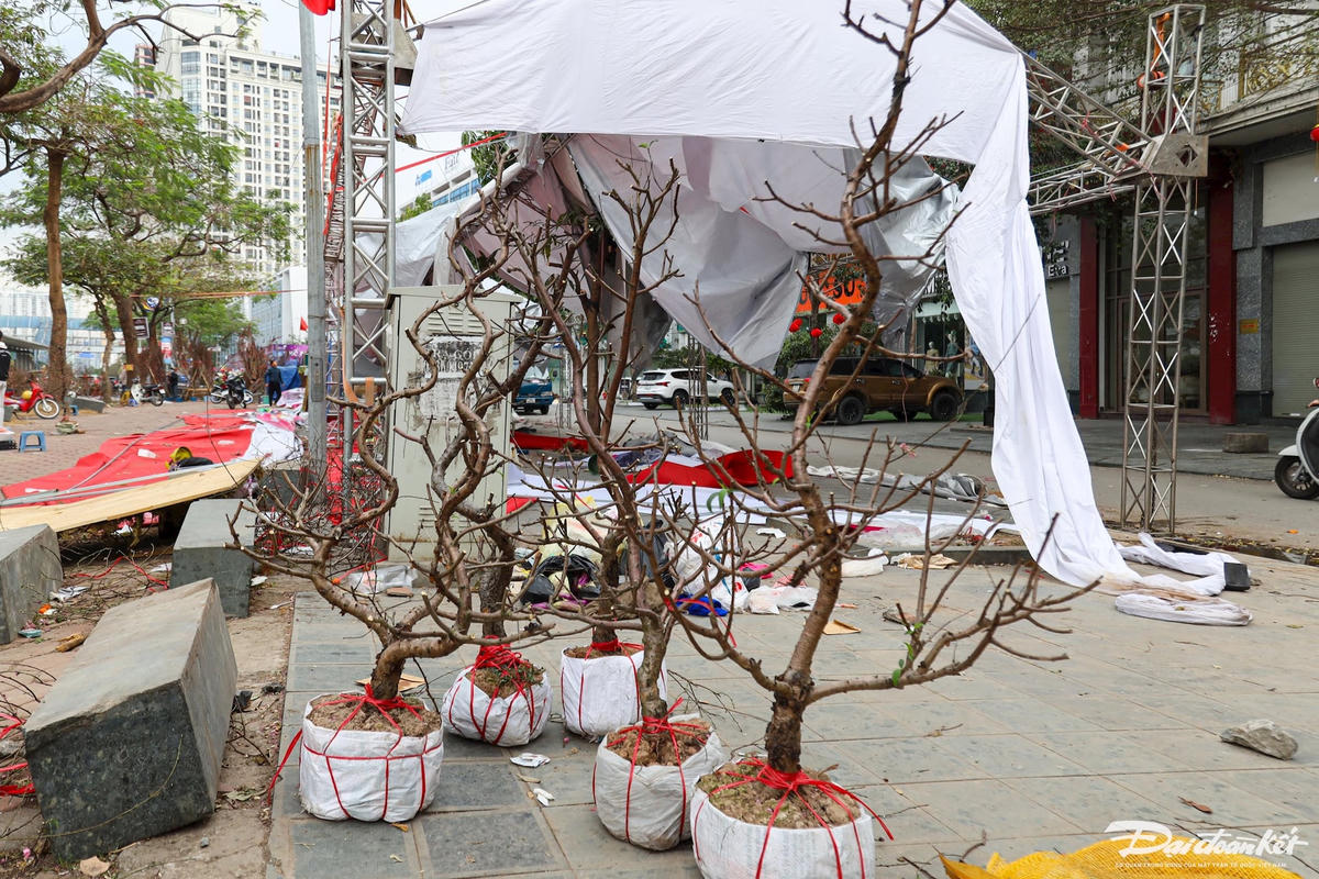 quat_dao-le-khanh91.jpg