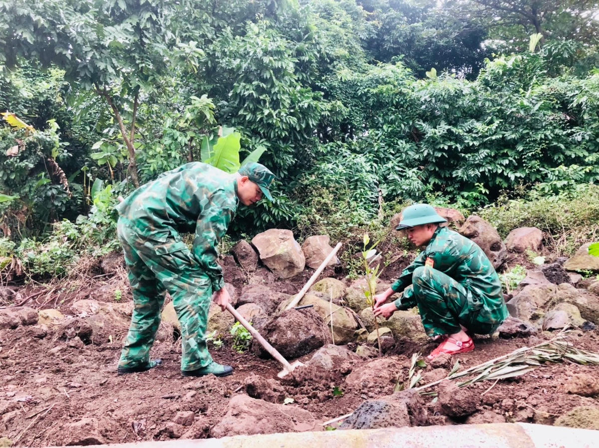 [Ảnh] Huyện đảo Cồn Cỏ trồng 3.000 cây xanh dịp Tết Nguyên đán 2023