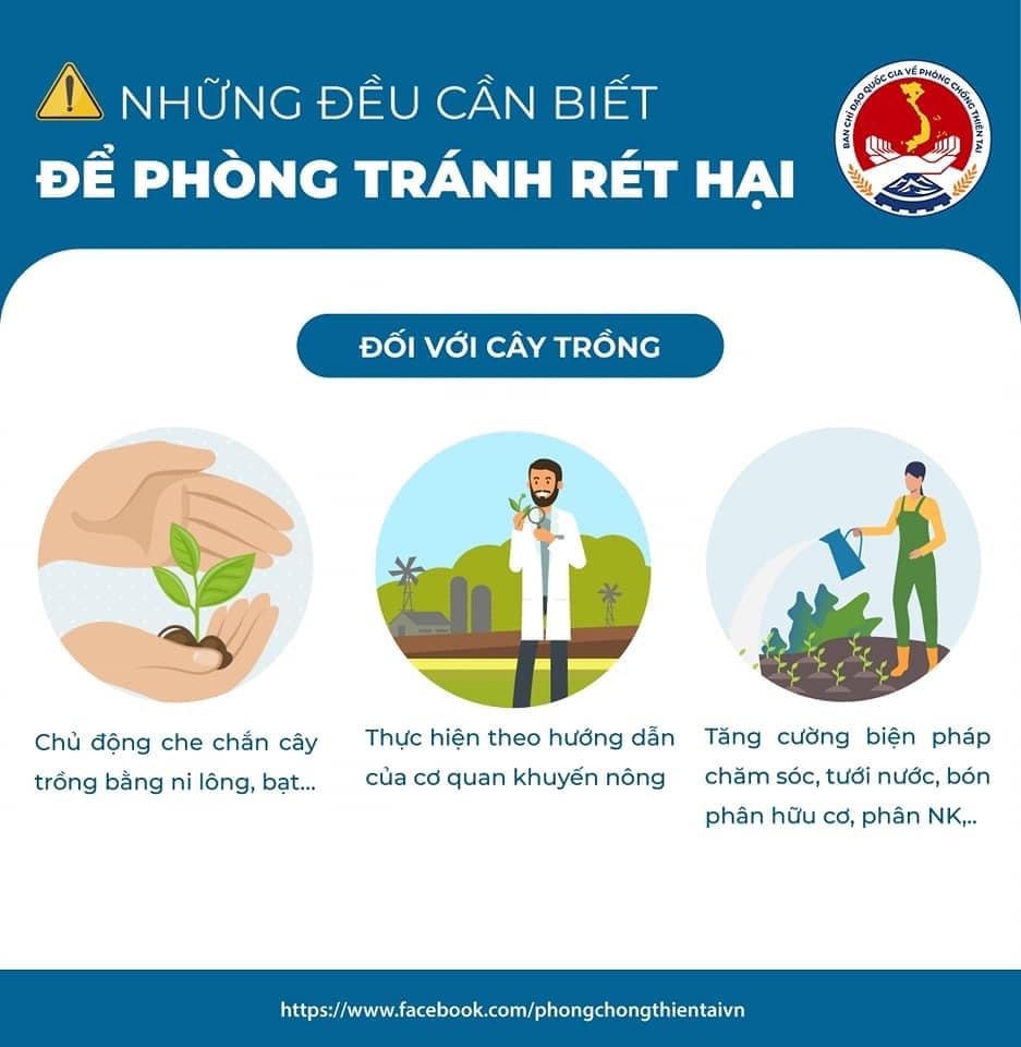 'Infographics': Rét hại và cách phòng tránh