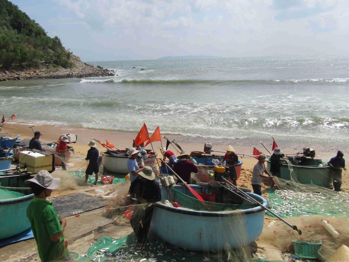 Xây dựng mô hình khu đô thị, du lịch, gắn kết với thiên nhiên, xã Xuân Hải, TX Sông Cầu.
