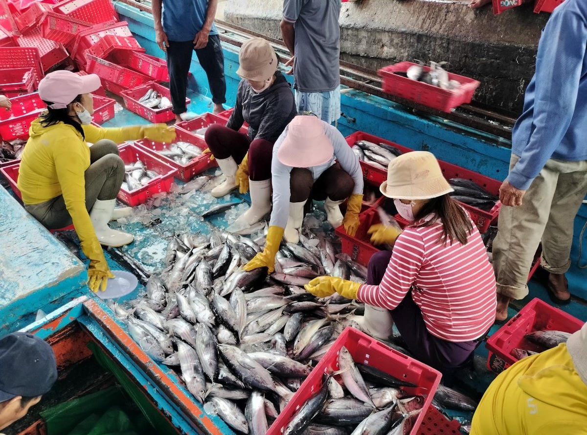 Ngư dân chạy vào bờ trú bão để bán hải sản.