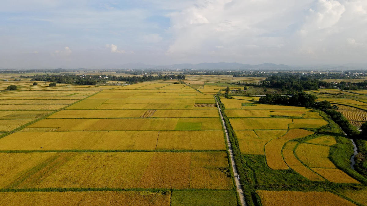 dji_0880.jpg