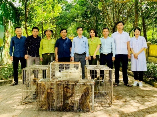 Hàng chục động vật hoang dã nguy cấp quý hiếm về môi trường tự nhiên.