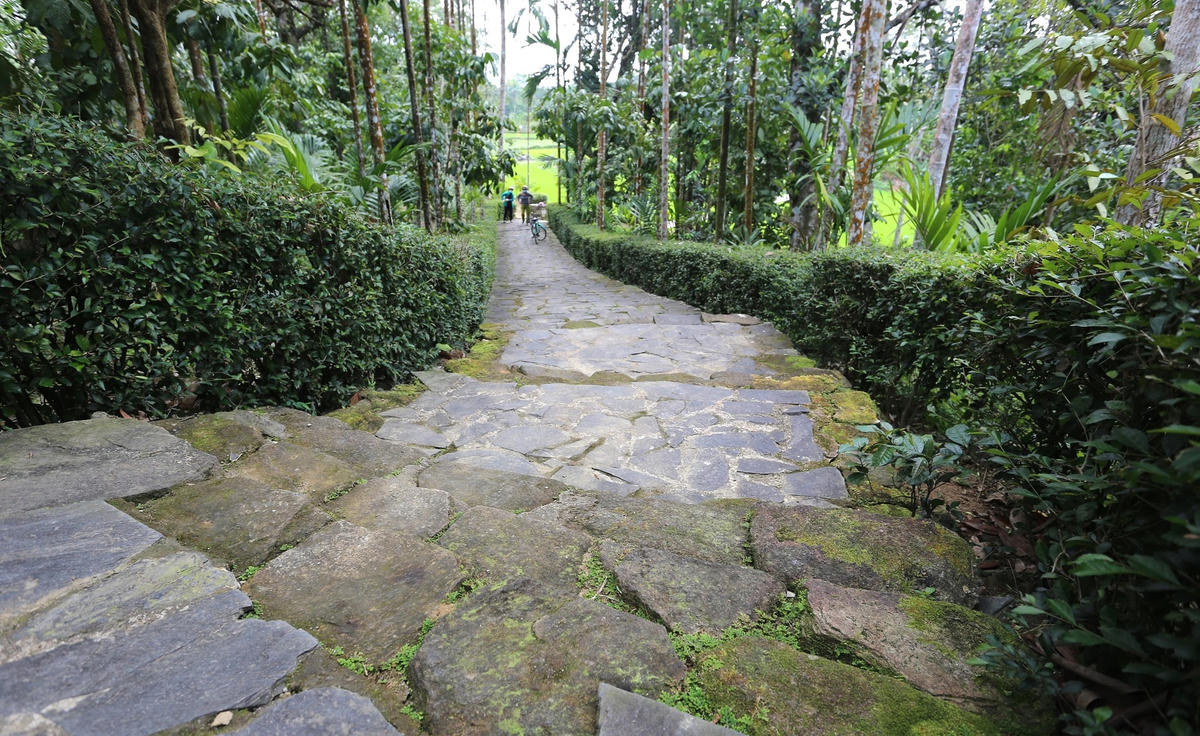 Những con đường đá lâu đời có nhiều rêu xanh.