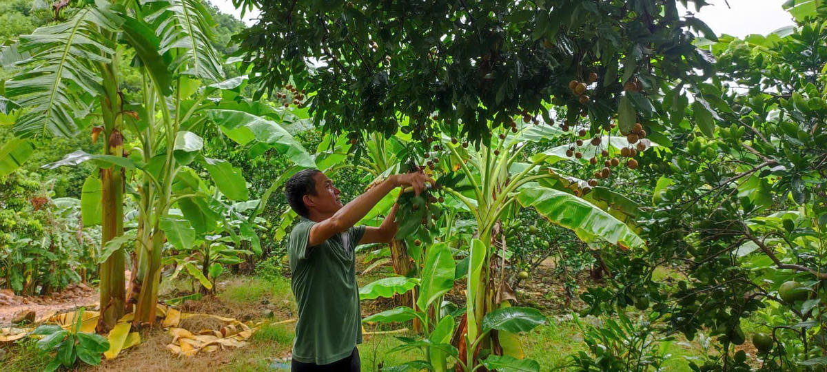 ảnh vốn chính sách 2