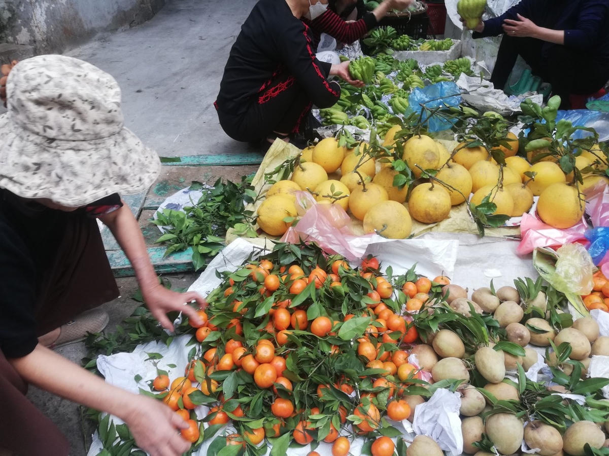 Các loại hoa quả, bưởi, phật thủ, quýt, hồng xiêm... được người dân lựa chọn với giá cả không hề tăng giá so với những ngày trước.