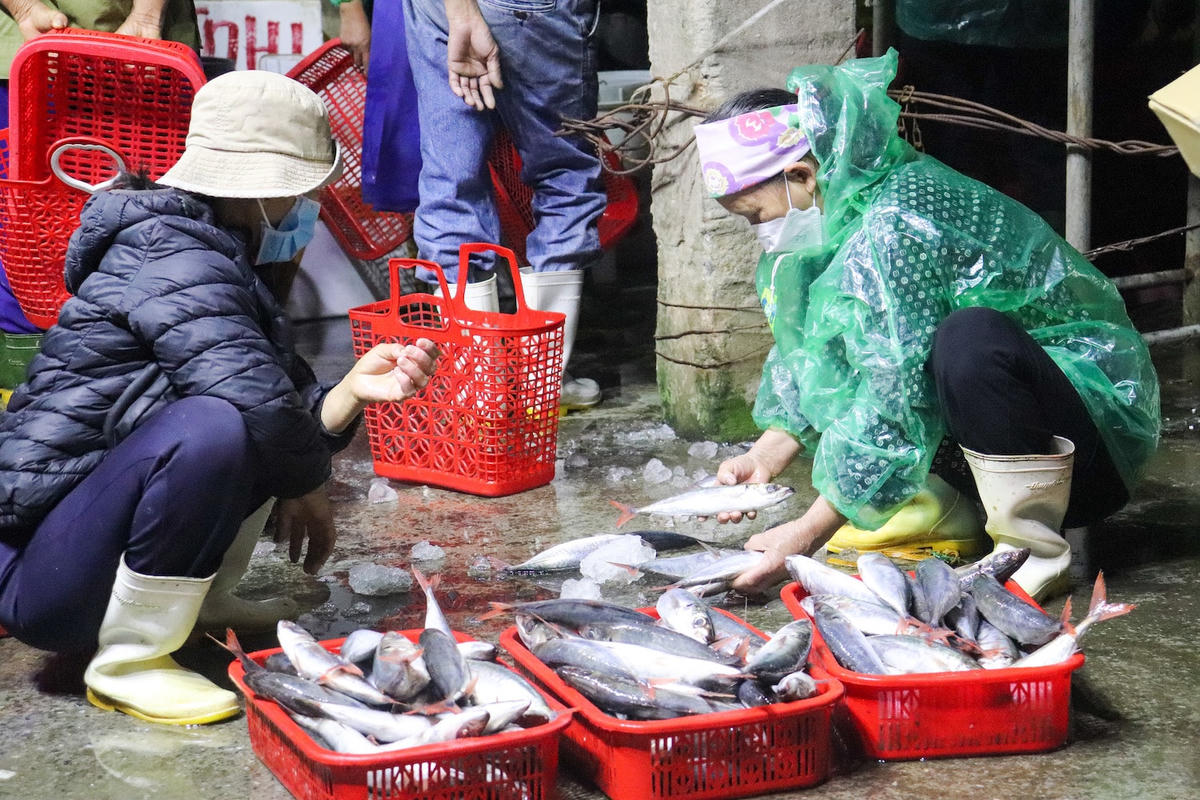 Một khoảng không gian bãi biển gần mép nước trở thành chợ “đầu mối”. Cứ mỗi khi thuyền cập vào bờ, một nhóm người tụ lại, người hỏi mua, kẻ ngã giá. 