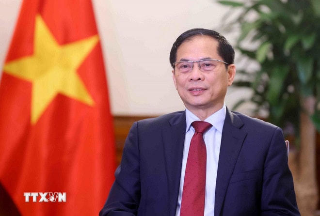 Phó Thủ tướng, Bộ trưởng Ngoại giao Bùi Thanh Sơn. (Ảnh: Phạm Kiên/TTXVN) ttxvn-pho-thu-tuong-bo-truong-ngoai-giao-bui-thanh-son.jpg