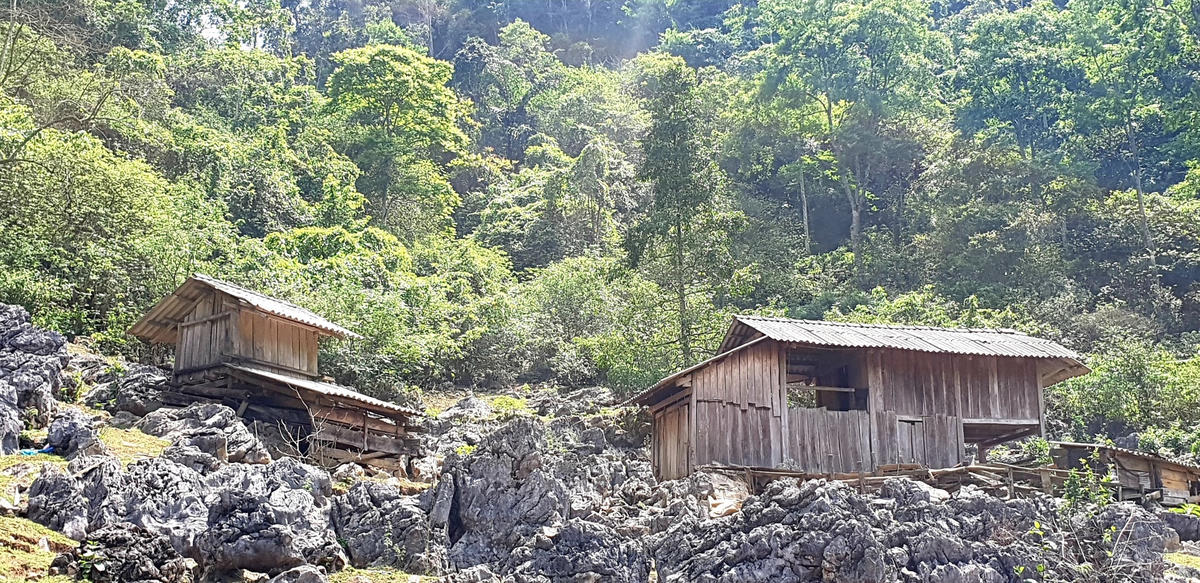 Những căn nhà gỗ dựng cheo leo trên mỏm núi, là nơi ăn ở, sinh hoạt của người Mông ở Hang Táu.