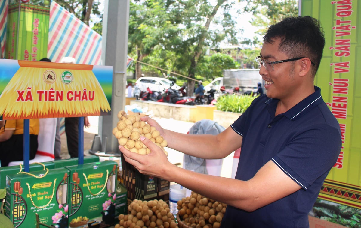 Du khách rất ưa thích trái bòn bon ở Tiên Phước..